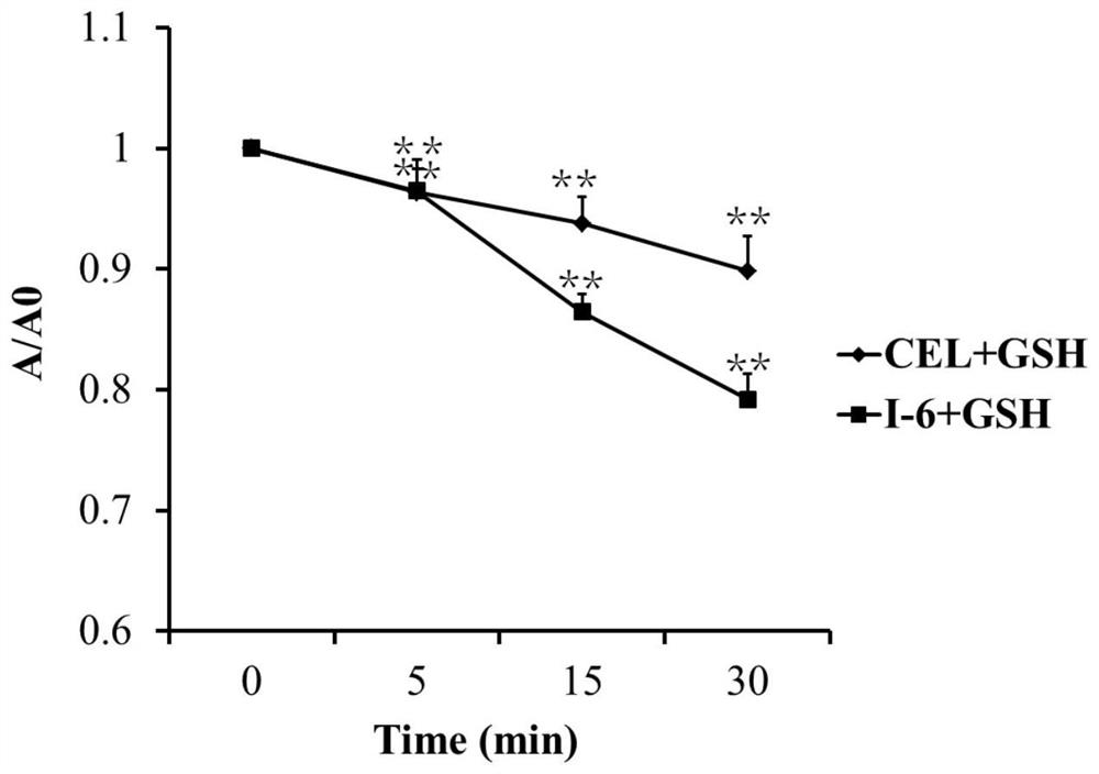 Tripterine nitrogen-containing five-membered heterocyclic derivative as well as preparation method and application thereof