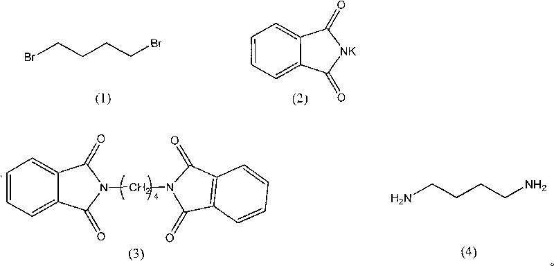 Synthesis method of 1,4-butanediamine