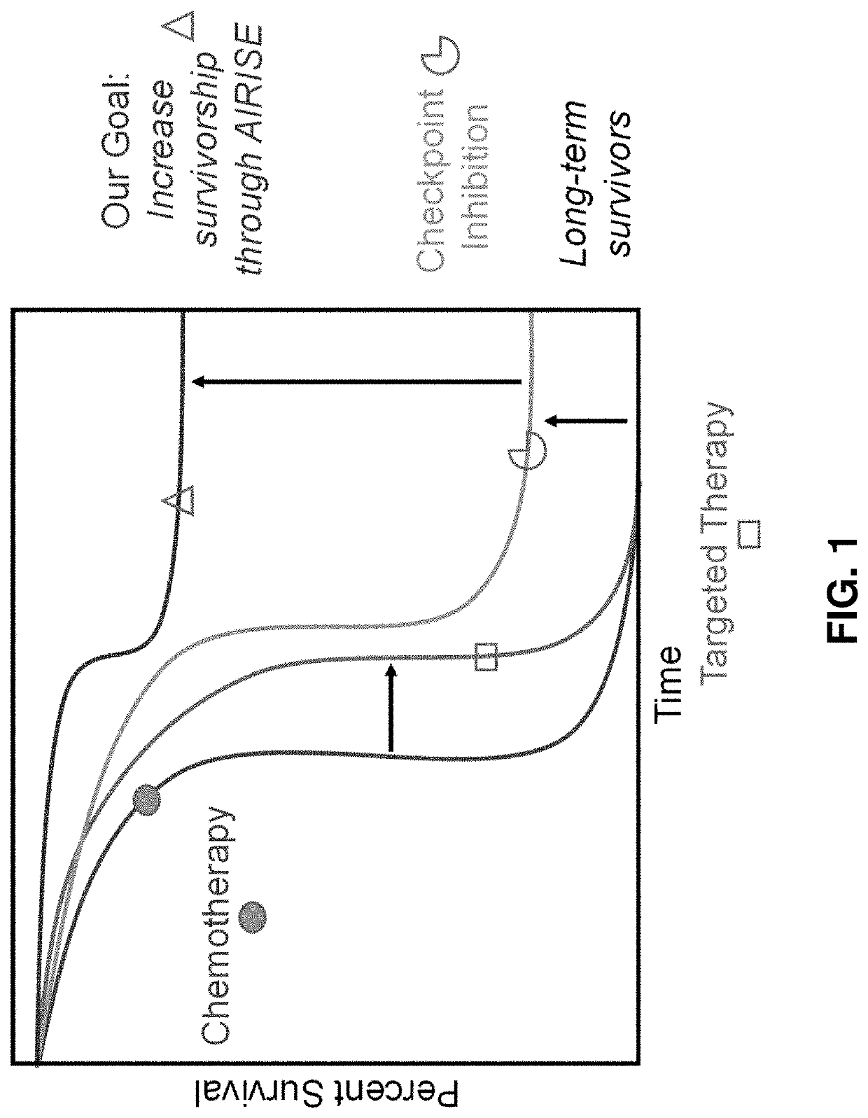 Immunotherapeutic constructs and methods of their use