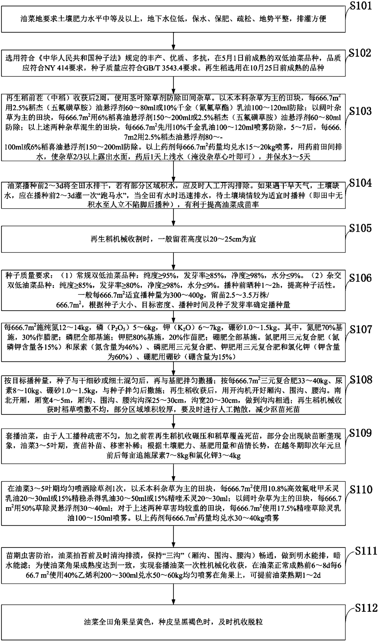 Simplified and efficient cultivation method for ratooning rice interplanted oilseed rapes