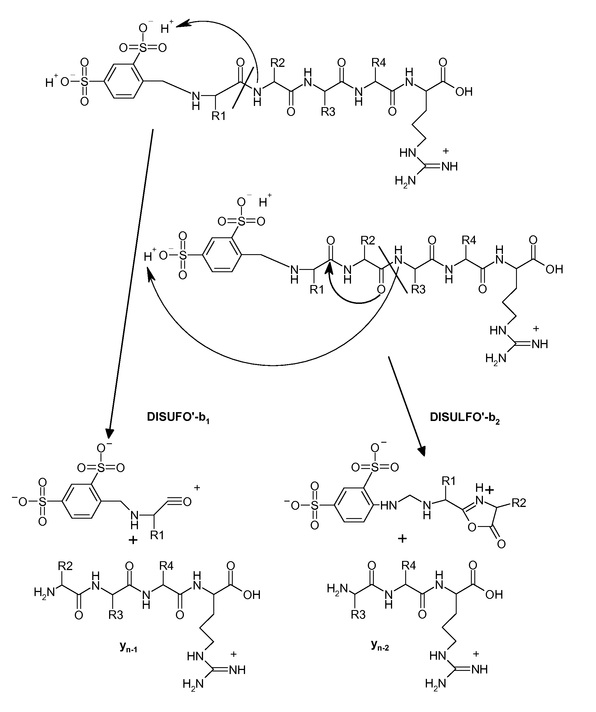 Mass spectrometry-based protein identification method with selective N-terminus derivatization