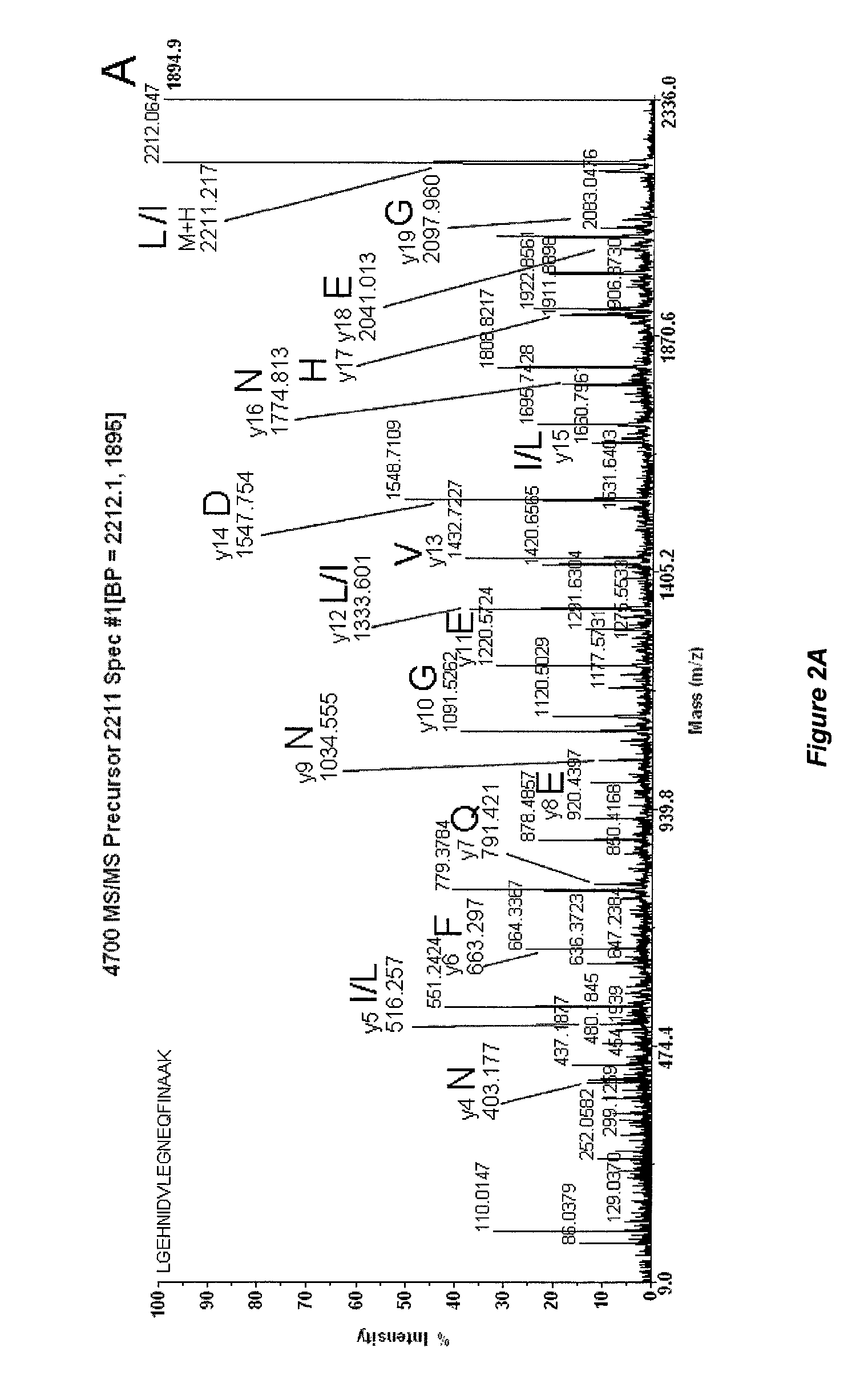 Mass spectrometry-based protein identification method with selective N-terminus derivatization