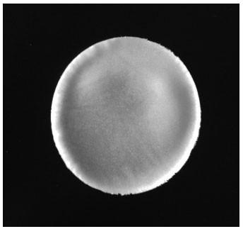 A kind of preparation method of highly air-permeable burn and scald dressing