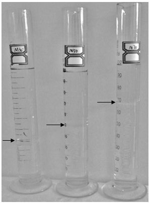 Moderate-proportion methanol gasoline additive