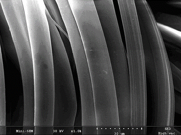 Multifunctional modification treatment method for silk