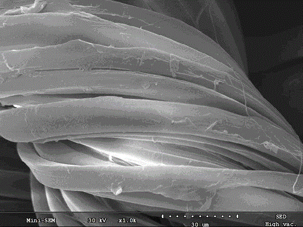 Multifunctional modification treatment method for silk