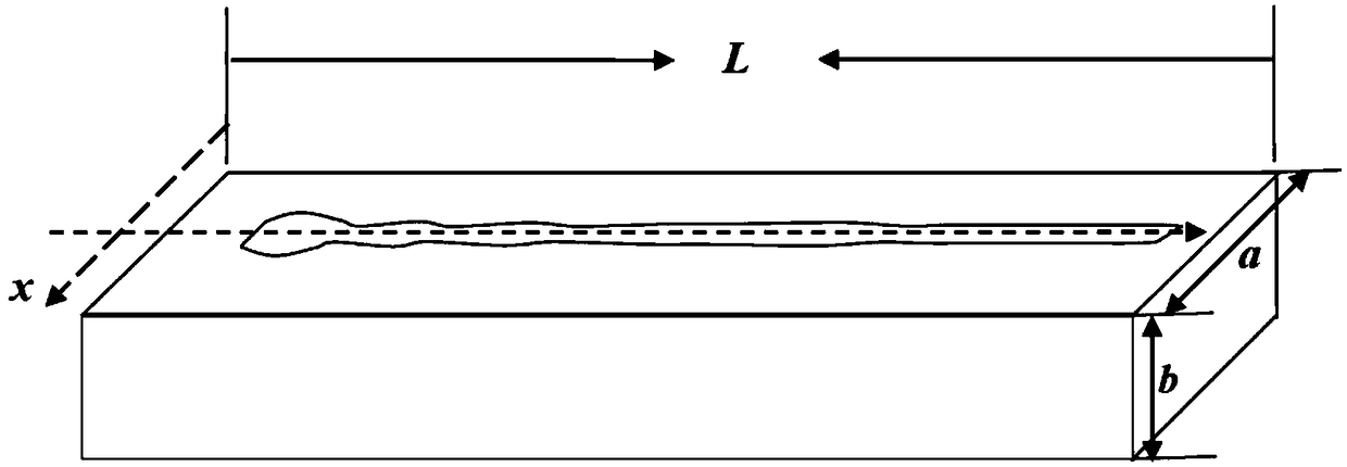 Leaky wave antenna and beamforming method based on leaky wave antenna