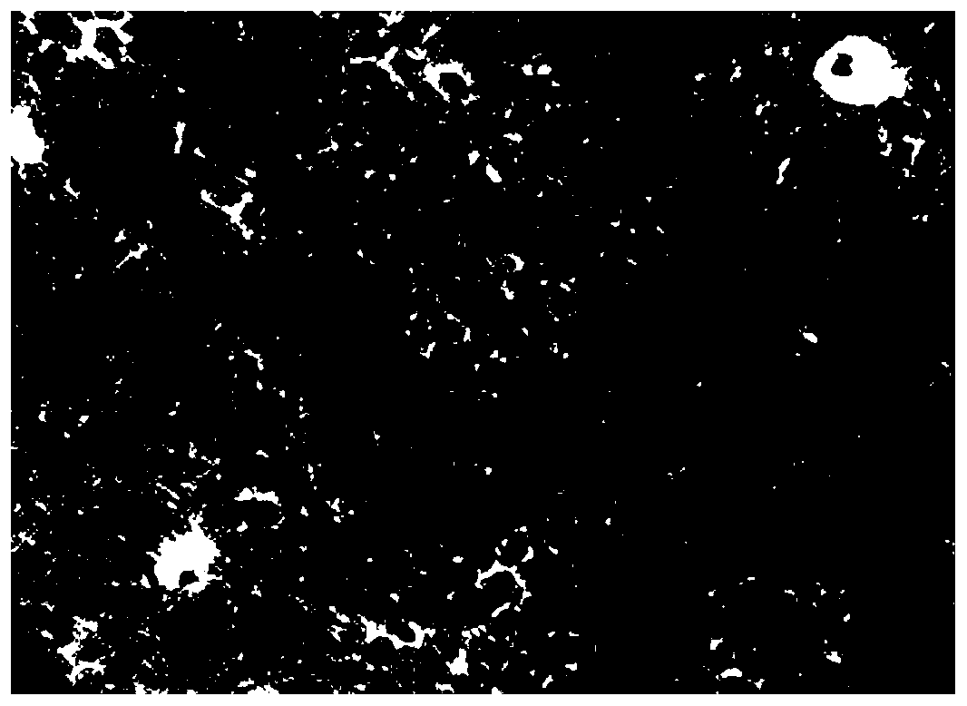 Method for applying L-selenomethionine to animal cell oxidation resistance and product thereof