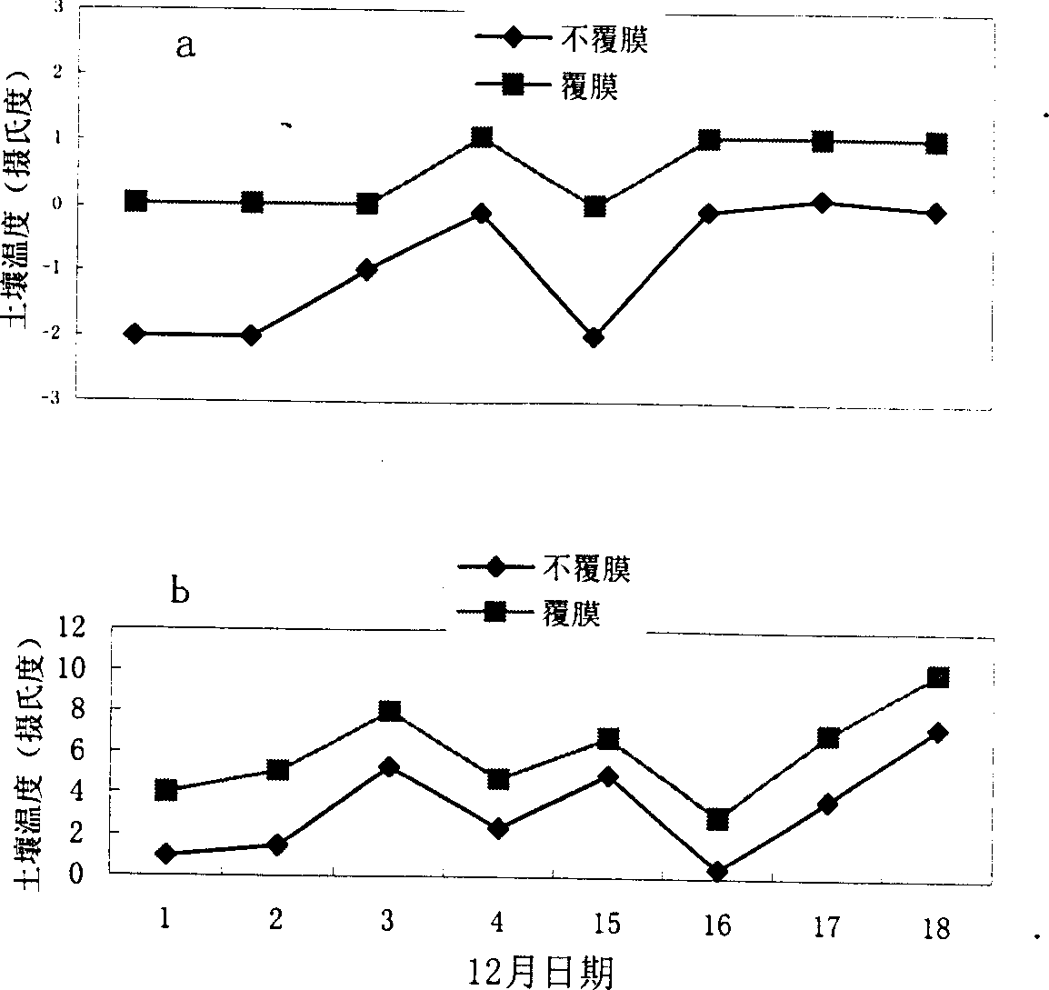 Wheat high yield cultivation technology in saline-alkali soil