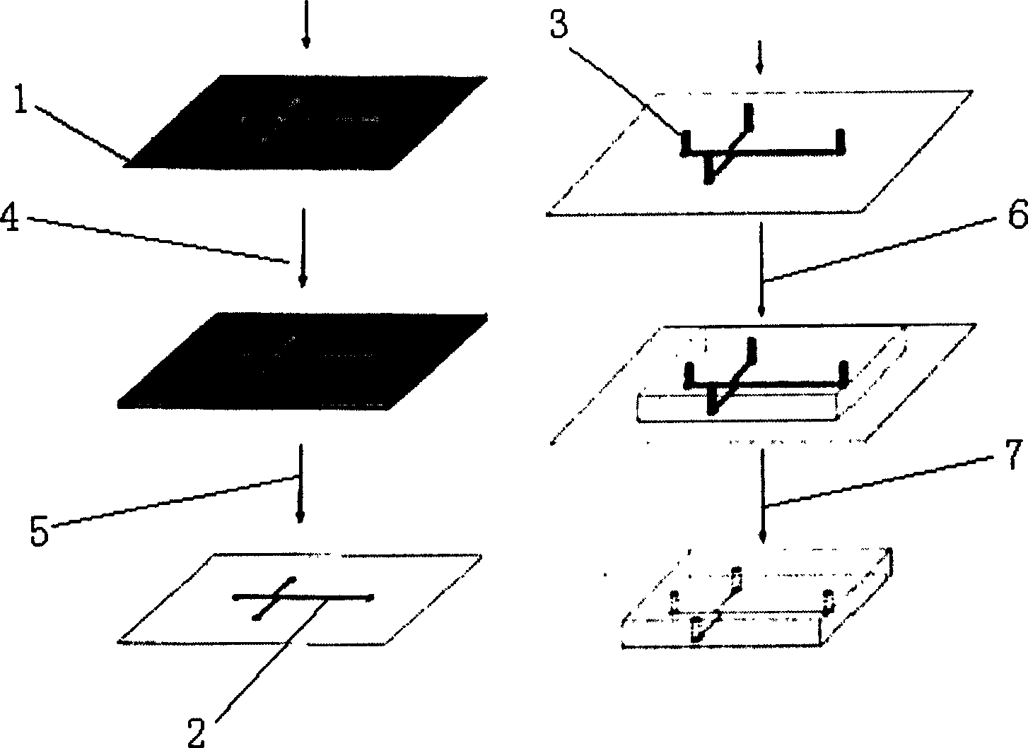 Process for extracting DNA from biological samples