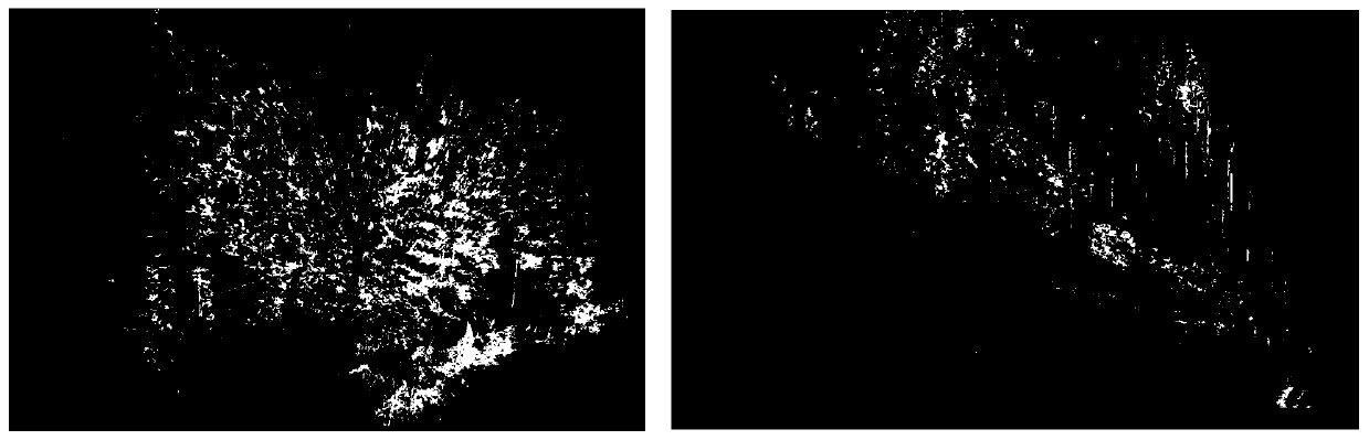 Automatic tree extraction method from laser scanning point cloud based on local interval maximum