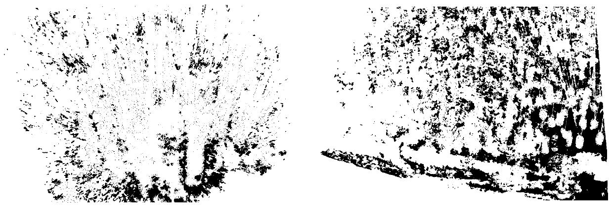 Automatic tree extraction method from laser scanning point cloud based on local interval maximum