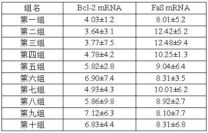 Two bromophenol compounds and application of pharmaceutically-acceptable salts of two bromophenol compounds in preparation of protection drug