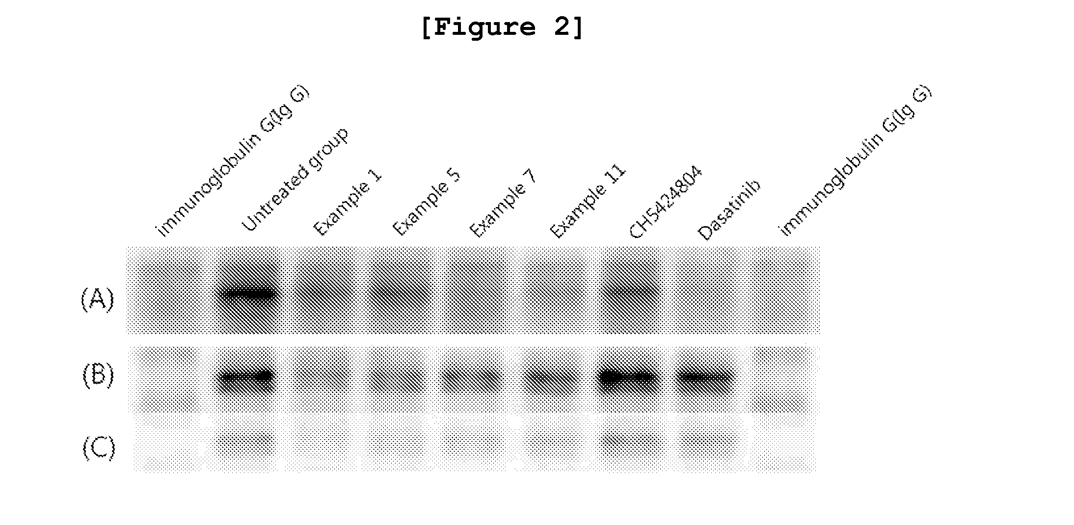 N2,n4-bis(4-(piperazine-1-yl)phenyl)pirimidine-2,4-diamine derivative or pharmaceutically acceptable salt thereof, and composition containing same as active ingredient for preventing or treating cancer