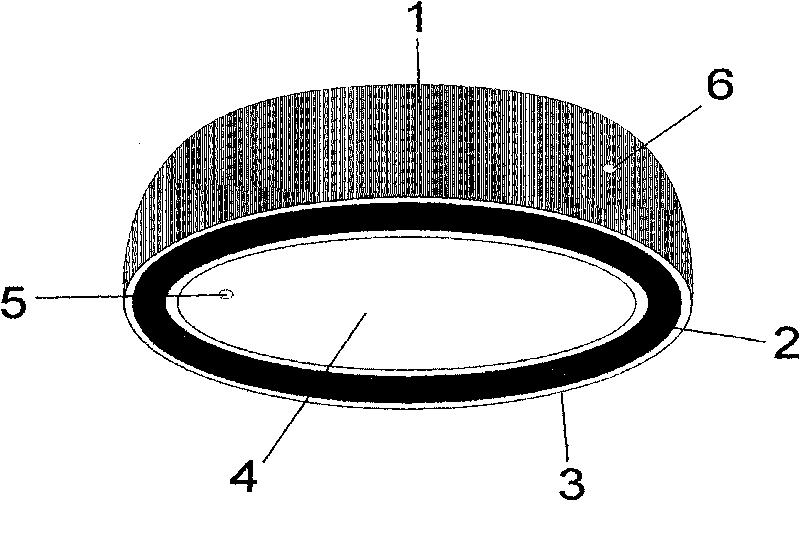 Device for preventing myopia by adopting eye-changing sight protecting method and use method thereof