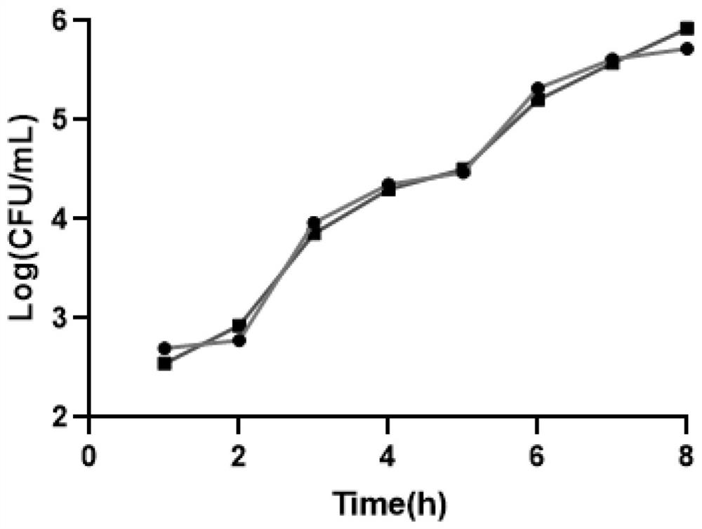 Tegillarca granosa hemoglobin alpha helix antibacterial peptide and application thereof