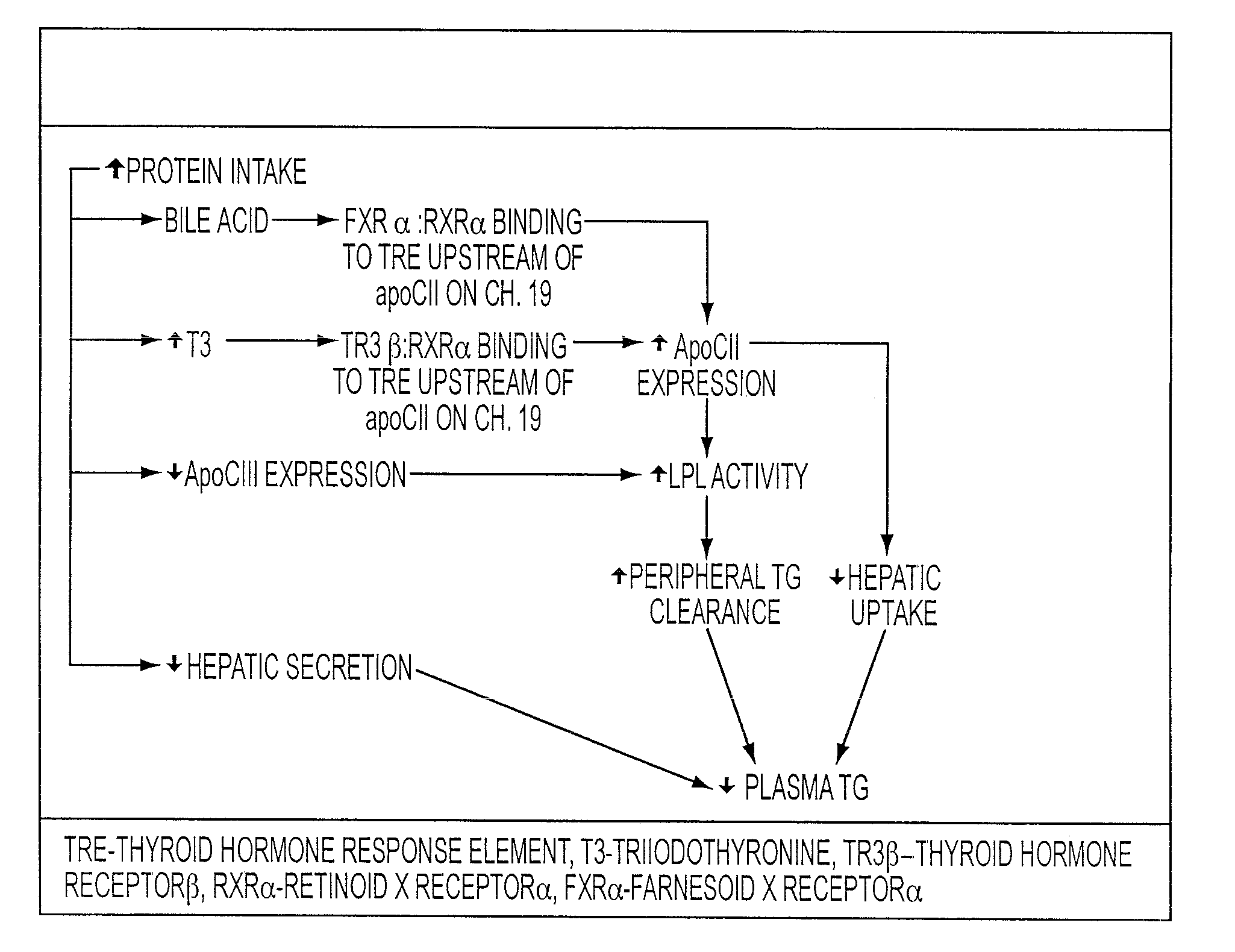 Compositions and Methods for Improving Cardiovascular Health