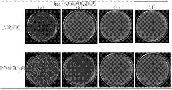 Silicon dioxide loaded nano-silver waterborne antibacterial paint and preparation method thereof