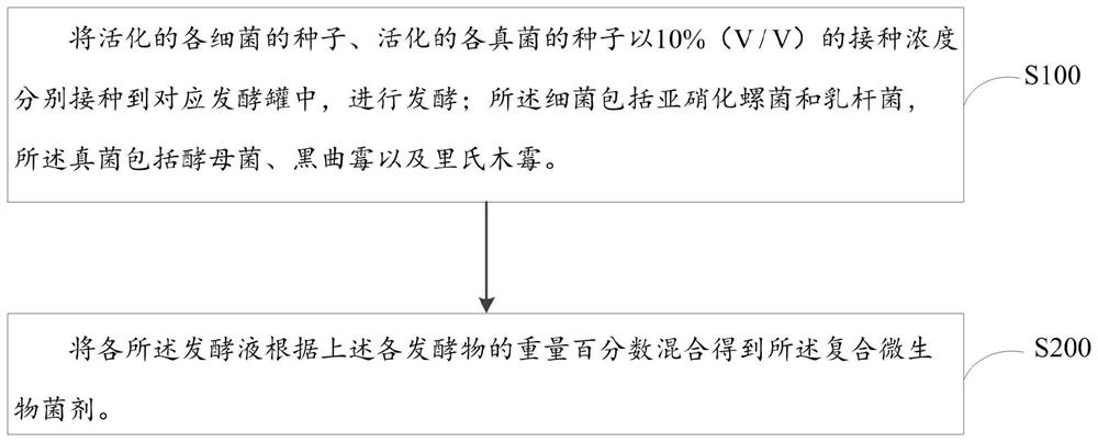 Compound microbial agent for promoting nitrogen utilization of crops as well as preparation method and application of compound microbial agent