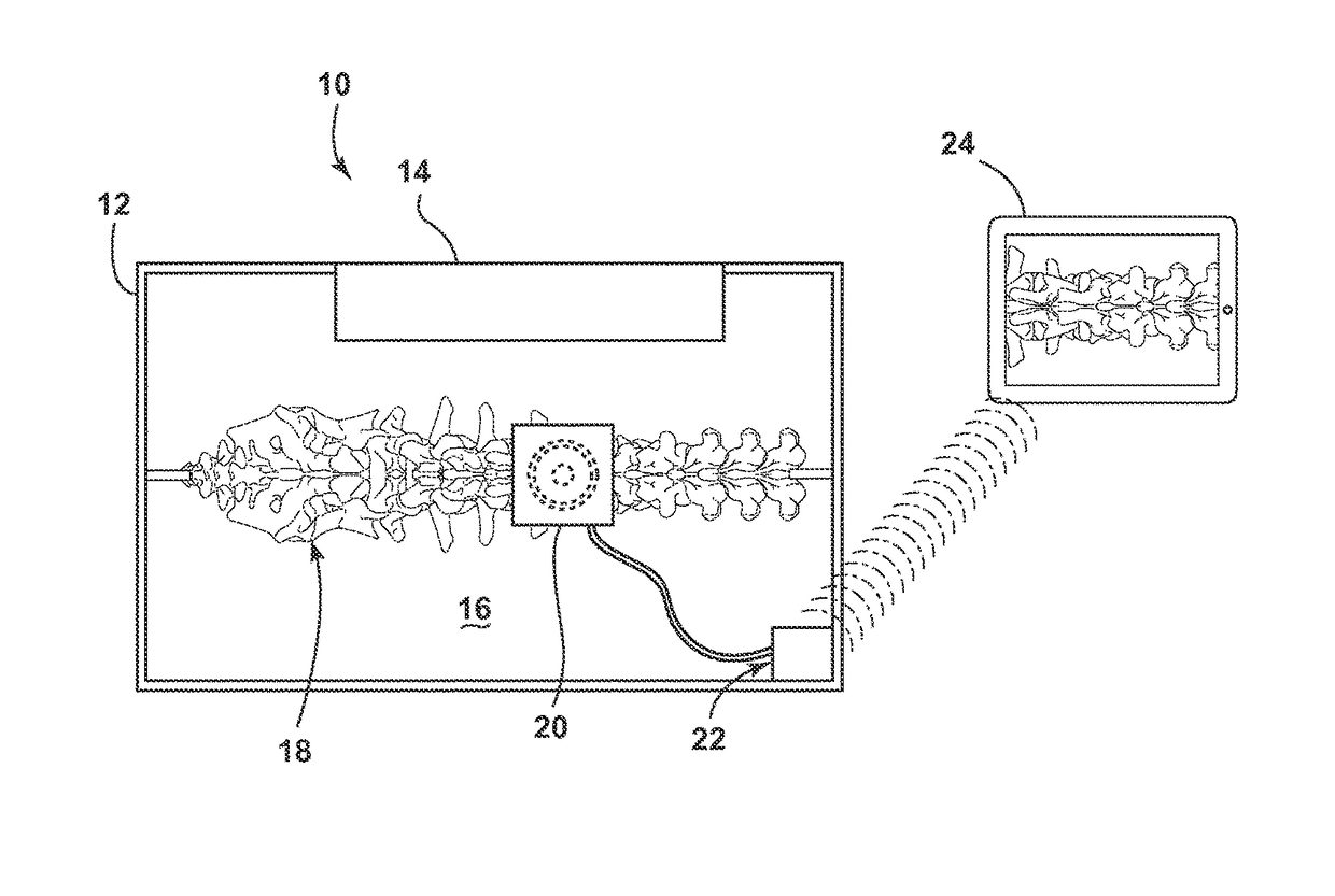 Apparatus for surgical training