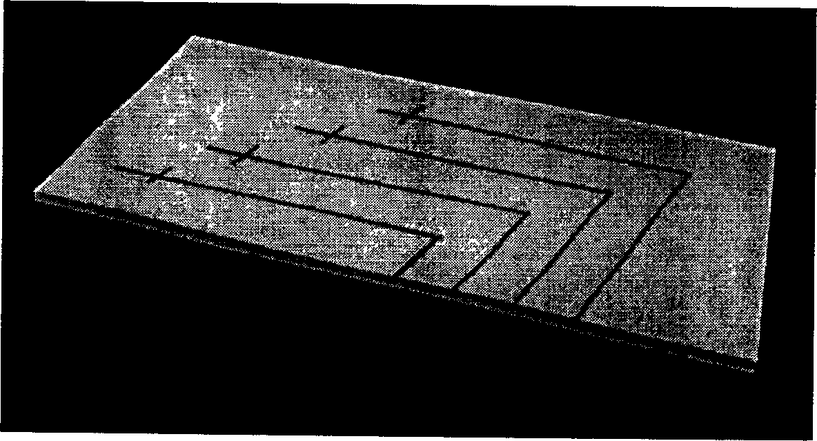 Multiple channel micro-flow control chip, process for making same and use thereof