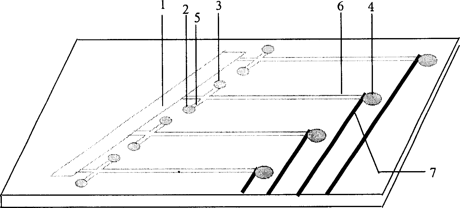 Multiple channel micro-flow control chip, process for making same and use thereof