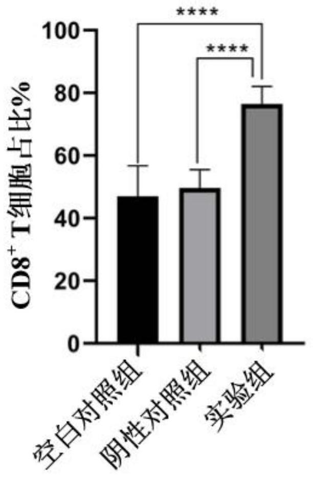 Tumor antigen/MHC-I compound as well as preparation method and application thereof