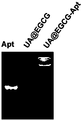 Preparation method for self-assembly nanoparticle with targeting function and application thereof