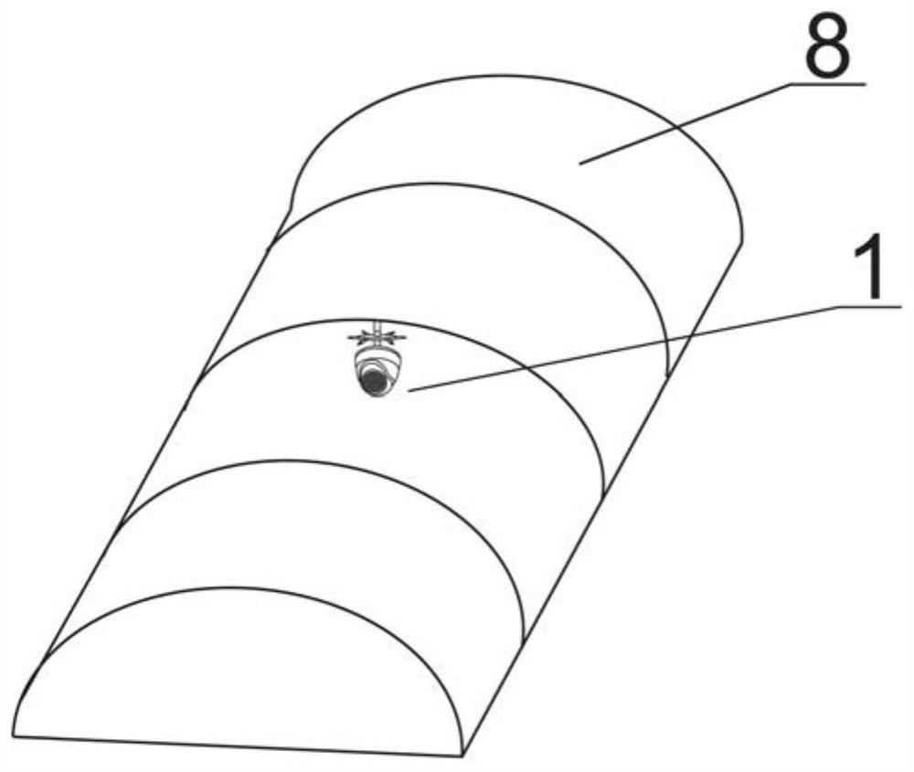 Bionic camera device and method in tunnel based on artificial intelligence