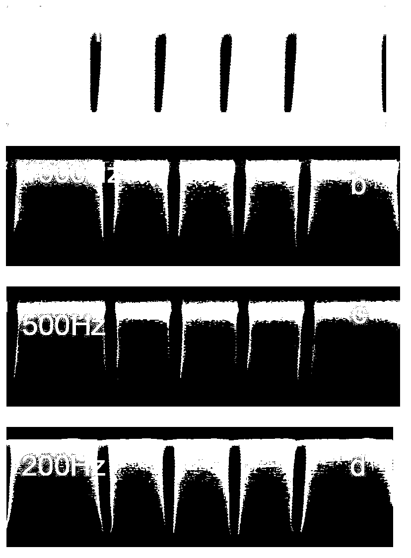 Plasma etching equipment and etching method