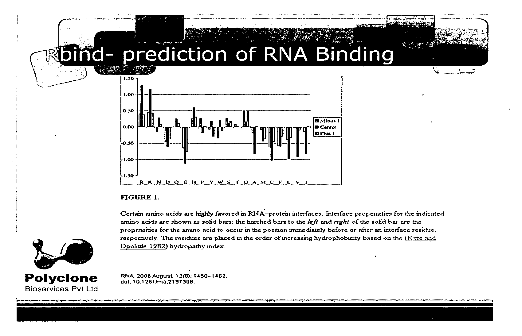 Method to characterize a protein as RNA binding protein