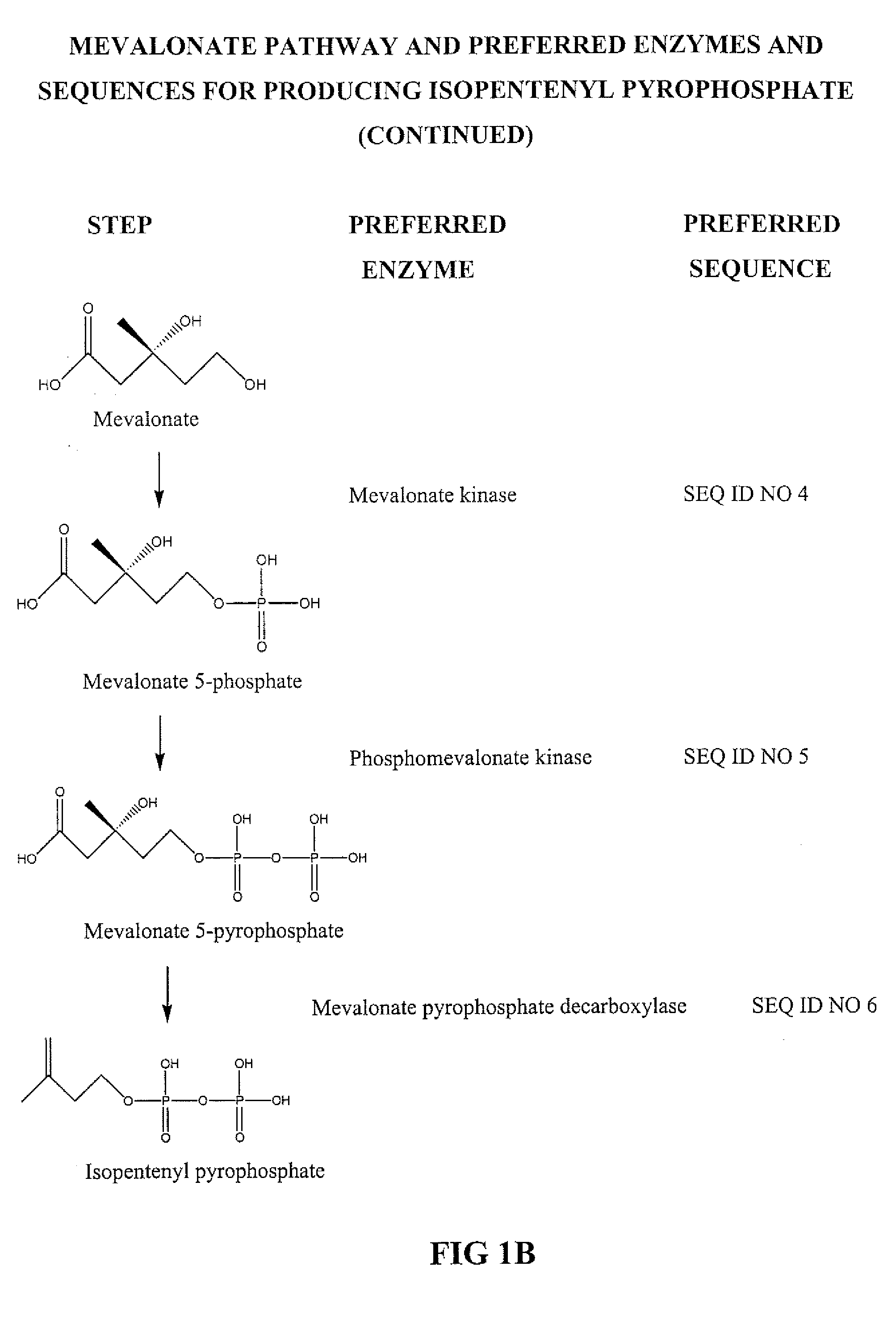 Biosynthesis of isopentenyl pyrophosphate