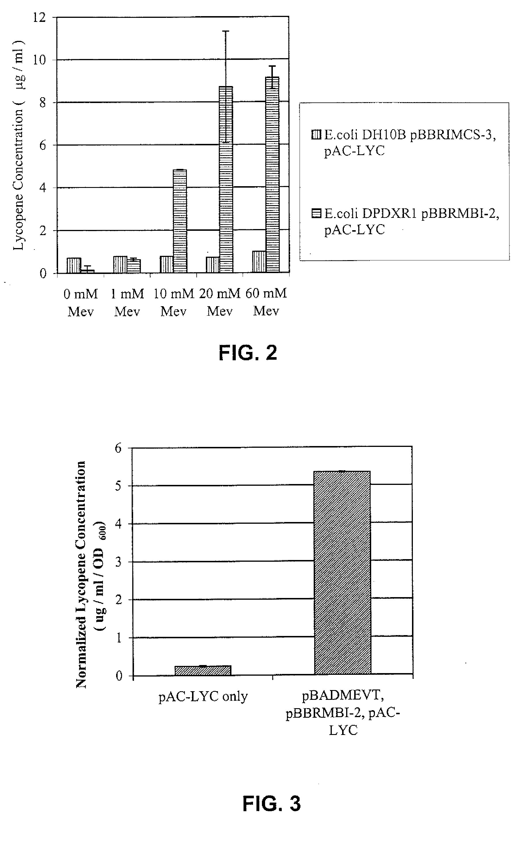 Biosynthesis of isopentenyl pyrophosphate