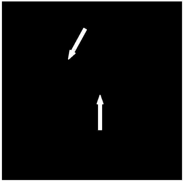 Fluorescence in-situ hybridization method for endosymbiotic bacteria in insect ovary