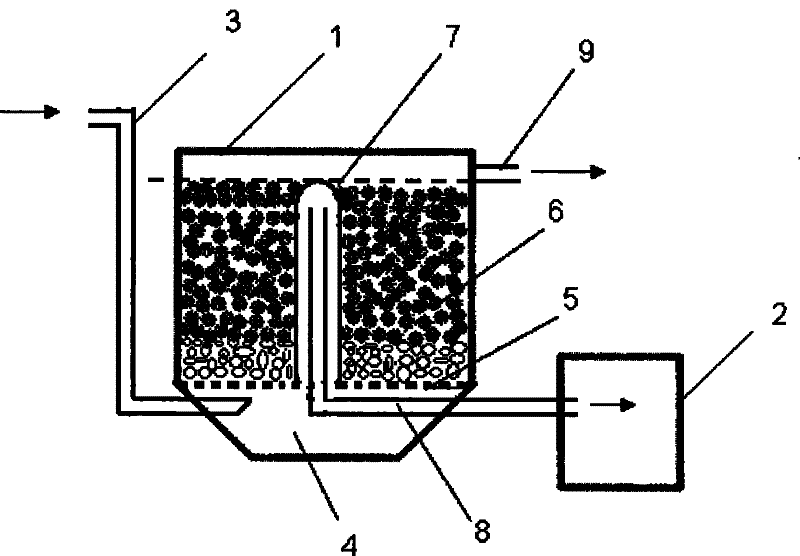 Unpowered bio-filter water purifying system with oxygenation and backwash functions