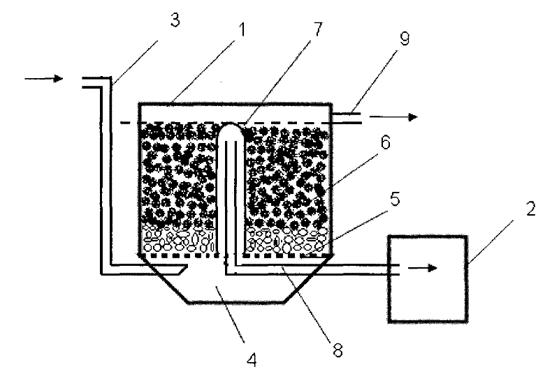 Unpowered bio-filter water purifying system with oxygenation and backwash functions