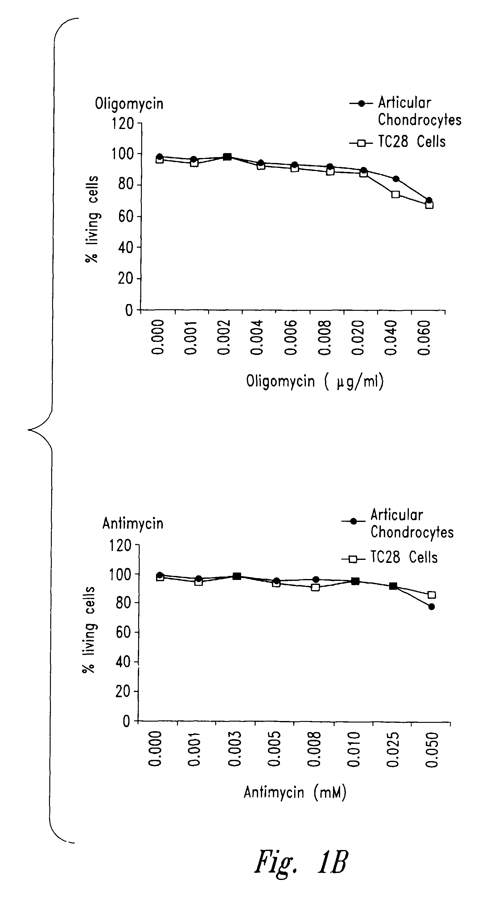 Methods and compositions for diagnosing and treating arthritic disorders and regulating bone mass