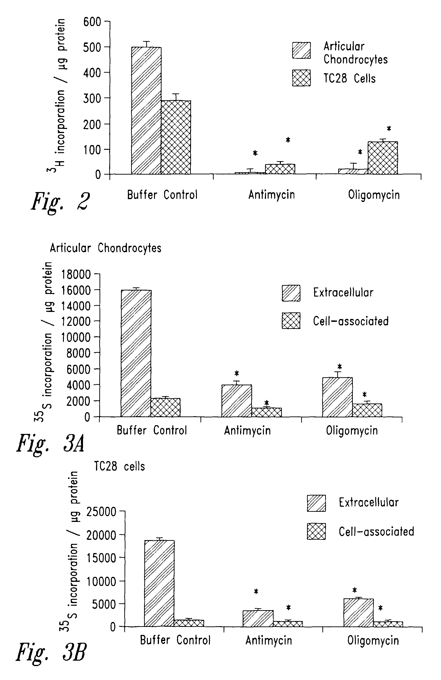 Methods and compositions for diagnosing and treating arthritic disorders and regulating bone mass