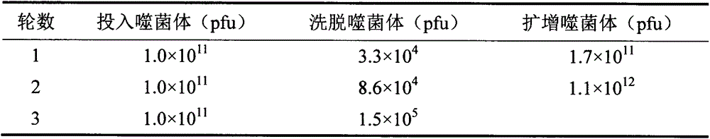 Polypeptide capable of specifically binding to benzothiostrobin immune complex and application thereof