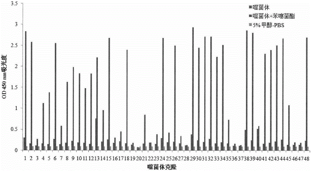 Polypeptide capable of specifically binding to benzothiostrobin immune complex and application thereof