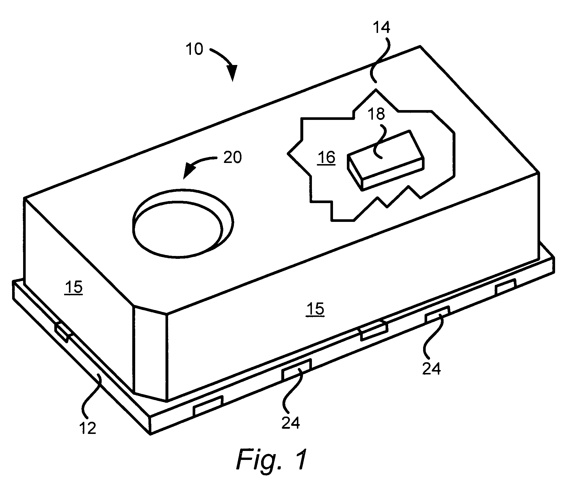 Microphone with irregular diaphragm