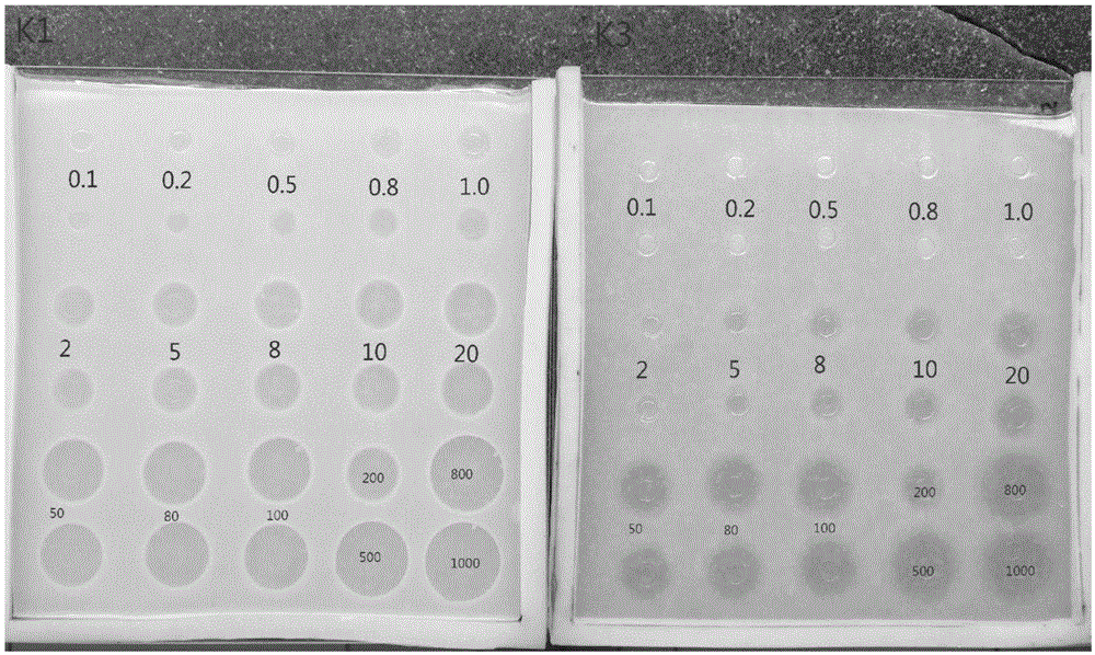 Method of quickly measuring content of Paenibacillus polymyxa in compound microbial agent