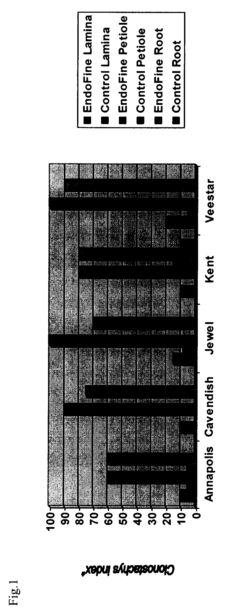 Production and use of endophytes as novel inoculants for promoting enhanced plant vigor, health, growth, yield  reducing environmental stress and for reducing dependency on chemical pesticides for pest control