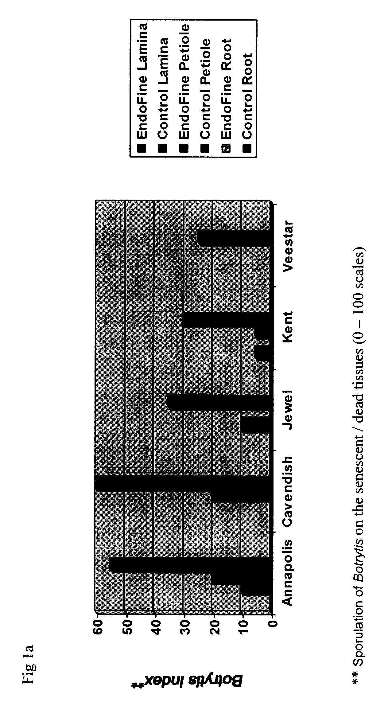 Production and use of endophytes as novel inoculants for promoting enhanced plant vigor, health, growth, yield  reducing environmental stress and for reducing dependency on chemical pesticides for pest control