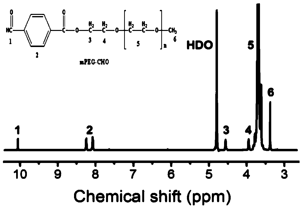 Dual-pH sensitive drug carrier system and preparation method thereof