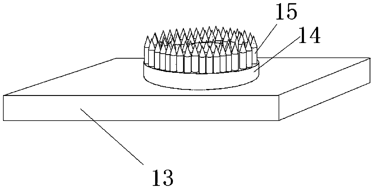 Device for edible fungi stock seed culture and injection