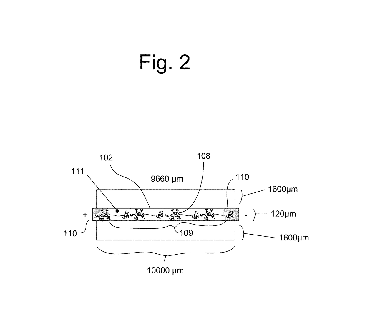 Method and apparatus for real-time detection of human cannabinoid intoxication