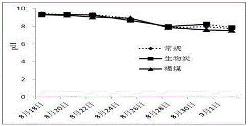 Preparation method of stable carbon source organic fertilizer