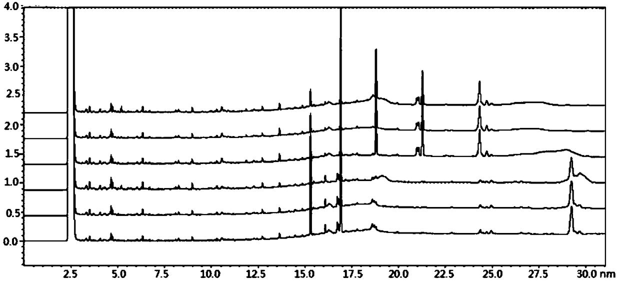 Method for identifying honey of Apis cerana and honey of Apis mellifera