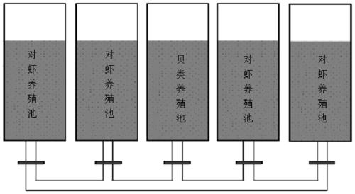 Method for reducing total nitrogen and total phosphorus in water of prawn culture pond